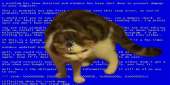 960x480