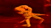 640x360