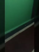 270x360