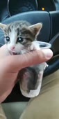 360x720