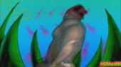 640x360