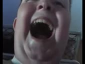 320x240