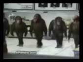480x360