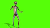 638x360