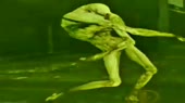 640x360