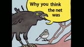 460x258