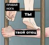542x499