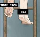 542x499