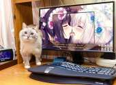 811x599