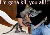 599x419