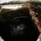 360x360