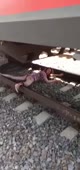 304x640