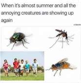 750x764