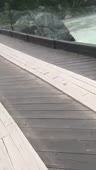 480x848