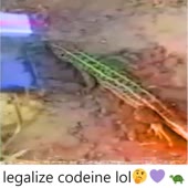 1080x1080