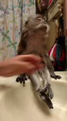 406x720