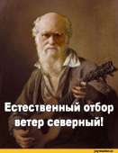 400x518