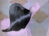 490x360