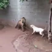360x360
