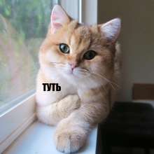 1080x1080