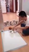 406x720