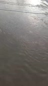 362x640