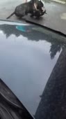 202x360