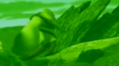 640x360