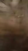 204x360
