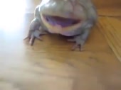 400x300