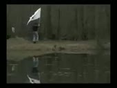 320x240