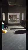320x564