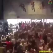 360x360