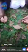 200x360