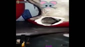 640x360