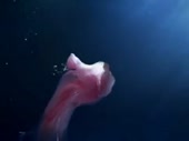 480x360