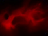 1440x1080