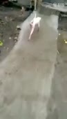244x426