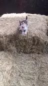 360x634