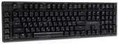 800x303