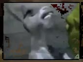 480x360