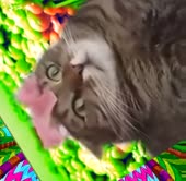 368x360