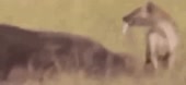360x166