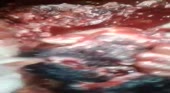 640x352