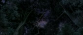 900x383