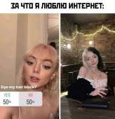 687x709