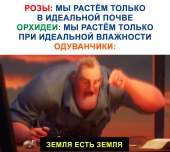 1500x1344