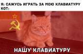 1162x769