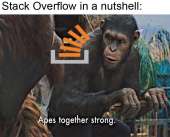 800x646
