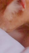 540x960